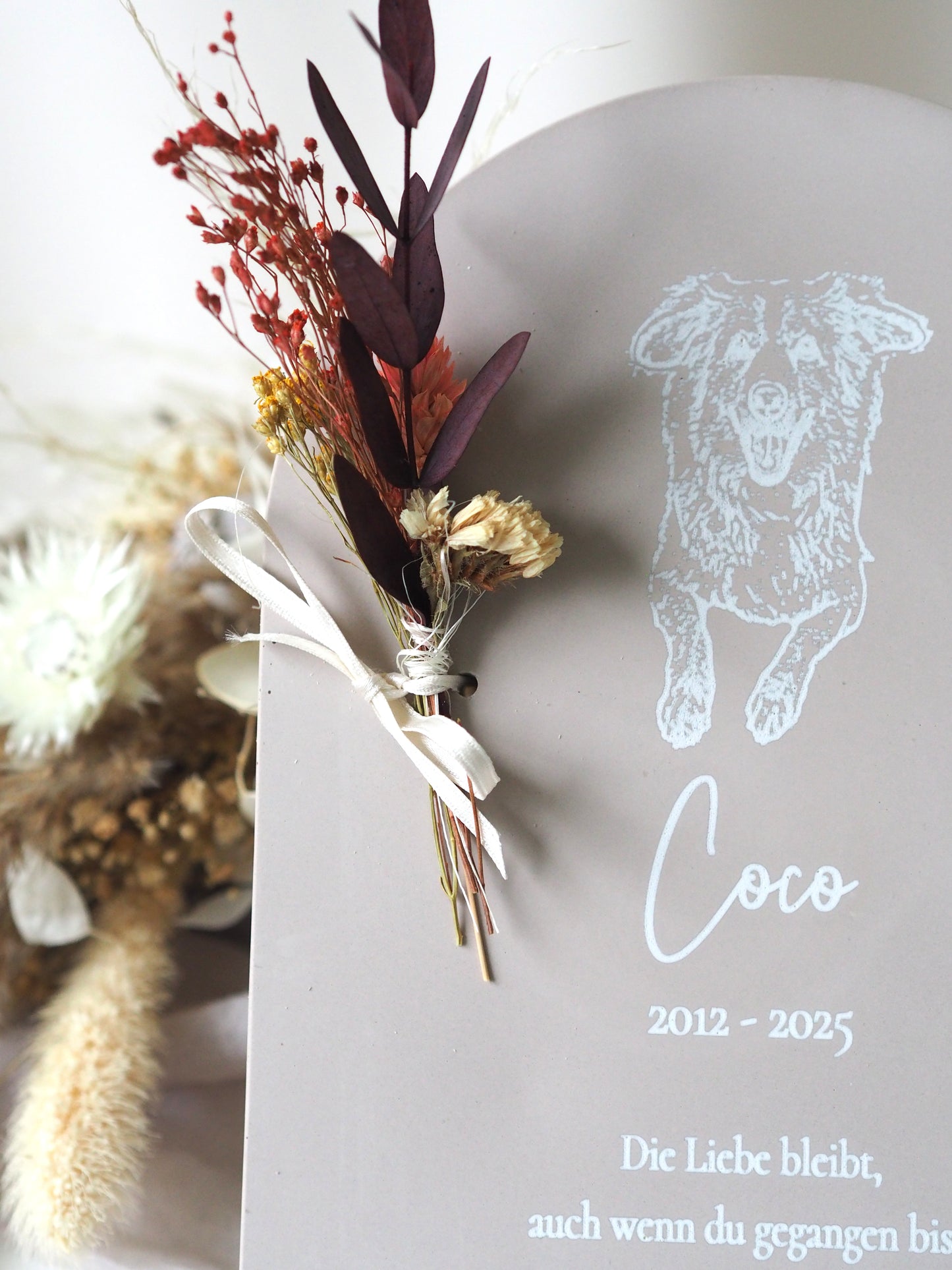 Personalisierte Haustier Gedenktafel "Archebogen" mit Foto-Gravur – Erinnerung an Hund oder Katze – Trauergeschenk Tierliebe - Name, Datum & Widmung
